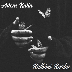 Kalbimi Kırdın