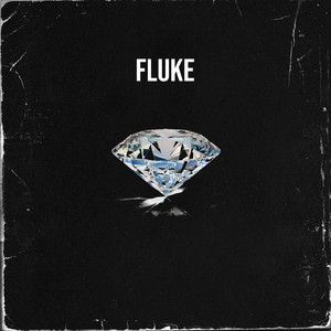 Fluke