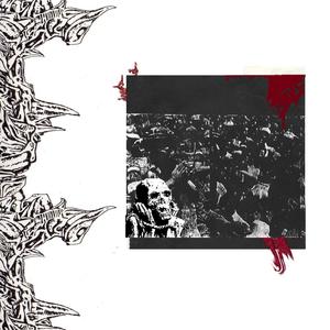 Hits Like A Bullet But Leaves No Trace