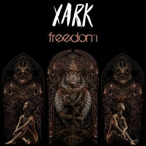 Meteoroid (Original mix)