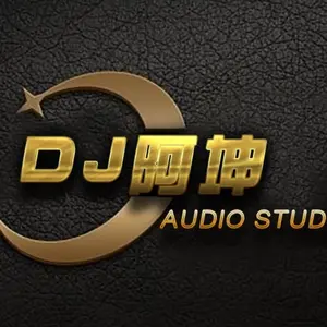 张学友-夕阳醉了 (DJ阿坤版)