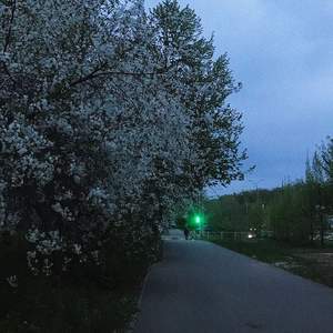 спагетти болоньезе