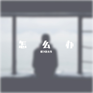 怎么办（Demo）
