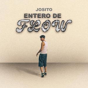 ENTERO DE FLOW