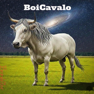 BoiCavalo