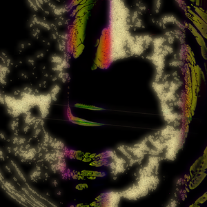 They Die When They Beg To Lord