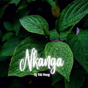 Nkanga