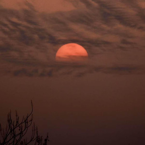 Melody（翻自 青春有你2）