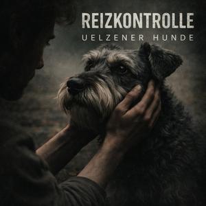 Explodieren