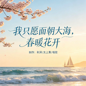李宇春-我只愿面朝大海，春暖花开（太上黄 / 唱歌 remix）