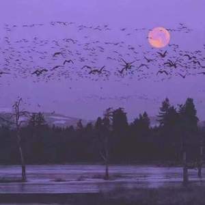 烈风吹散了整个夏天