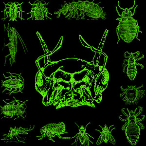 Monitorean Tu Comportamiento