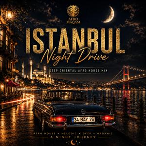 Istanbul Night Drive
