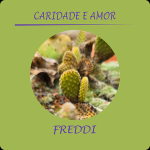 Caridade e Amor
