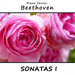 Sonata No. 8 (Pathetique) in C-Minor, Op. 13: III. Rondo Allegro