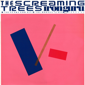 Iron Guru (The Mooney 72 Mix)