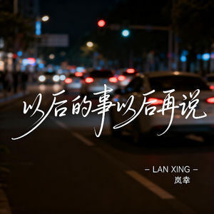 以后的事以后再说