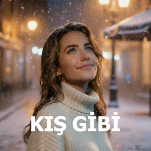 Kış Gibi