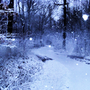 Nos Metimos en la Escena