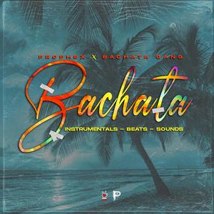 Bachata LiFe (instrumental)