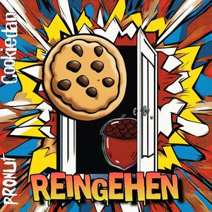 Reingehen (feat. CookiedanDJ)