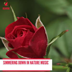 Tremendous Distant Waterfall