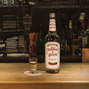 Focusleser (Remastered)