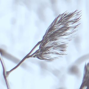 Unified Fields (Edit Select Remix)