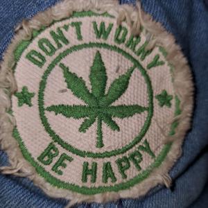 PIGEONS SEAGUILES FIGHTING OVER CHICKEN WINGS