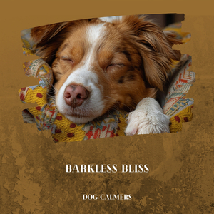 Relaxation for Rovers, Rain Shower Sounds