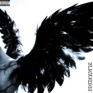 黑色翅膀（BLACKWINGS）