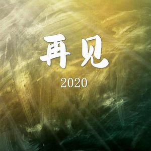 再见2020