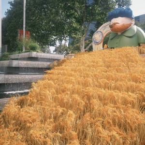 爱出者爱返 福往者福来