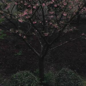 女孩（Prod by Red killer）