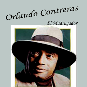 ¿Dónde Tu Irás?