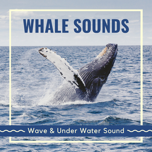 Whale Sounds