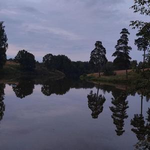 i left before i was left, but it still felt like losing