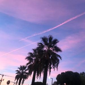 我会在那腥臭腐朽的日子里熠熠生辉