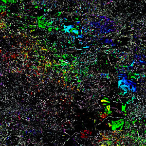 Discovery through violation