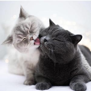 我要我们在一起