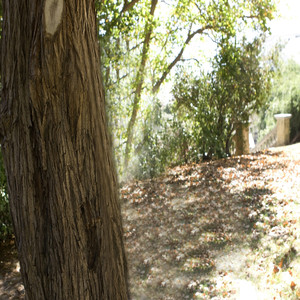 আমার এই আল্লাহর ঘরটা যে শেয়ার করবে