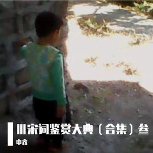 CⅤ宋词鉴赏大典（壹佰零伍）《水龙吟》《最高楼》《水龙吟·过南剑双溪楼》《摸鱼儿》