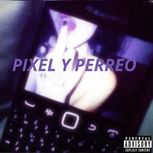 Pixel y Perreo