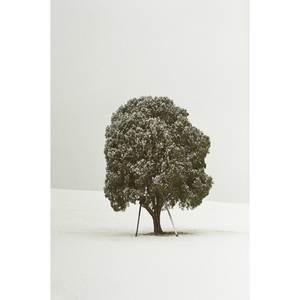 사랑한다 했잖아요 (Inst.)