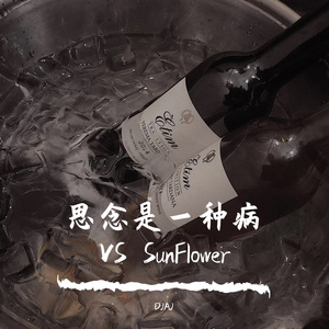 思念是一种病 VS SunFlower