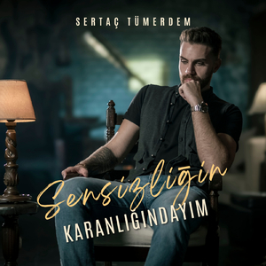 Sensizliğin Karanlığındayım