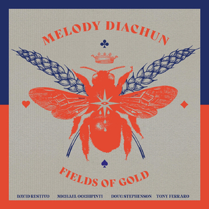 Fields of Gold (feat. Michael Occhipinti, David Restivo, Doug Stephenson & Tony Ferraro)