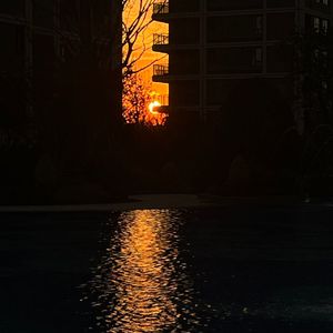 给我一个理由忘记