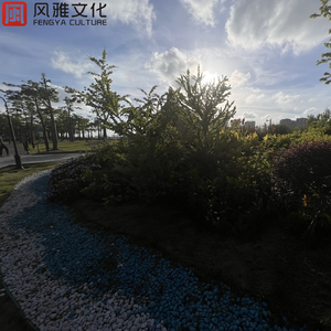 岸边的小船（钢琴）