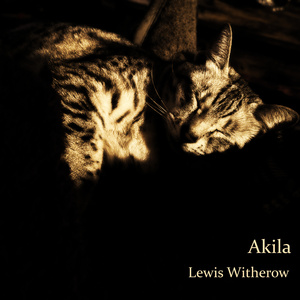 Akila